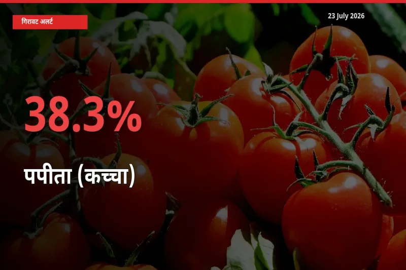 पपीता (कच्चा) के दाम प्रमुख मंडी में 38.3% गिरे, 24 घंटे में बड़ा बदलाव