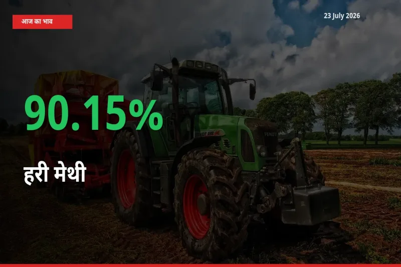 हरी मेथी के दाम प्रमुख मंडी में 90.15% बढ़े, 24 घंटे में बड़ा बदलाव