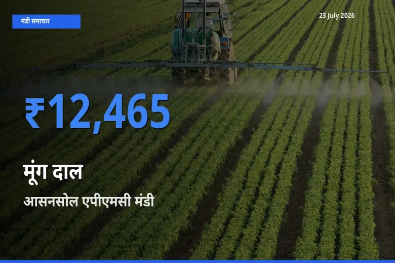 आज का मंडी भाव: मूंग दाल के सबसे ज़्यादा दाम आसनसोल एपीएमसी में
