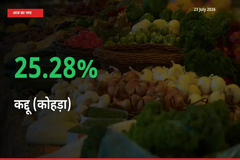 कद्दू (कोहड़ा) के दाम प्रमुख मंडी में 25.28% बढ़े, 24 घंटे में बड़ा बदलाव