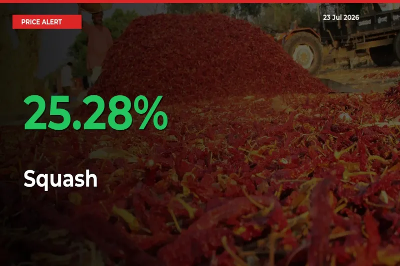 Why Squash Prices Rose 25.28% in a Day at Mandis