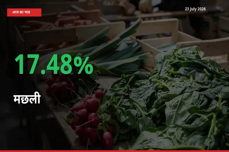 अचानक तेजी! मंडी में मछली के दाम 17.48% चढ़े