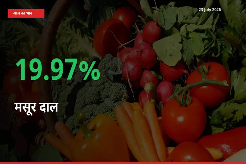 आज का मंडी भाव: मसूर दाल के दाम मंडी में 19.97% ऊपर