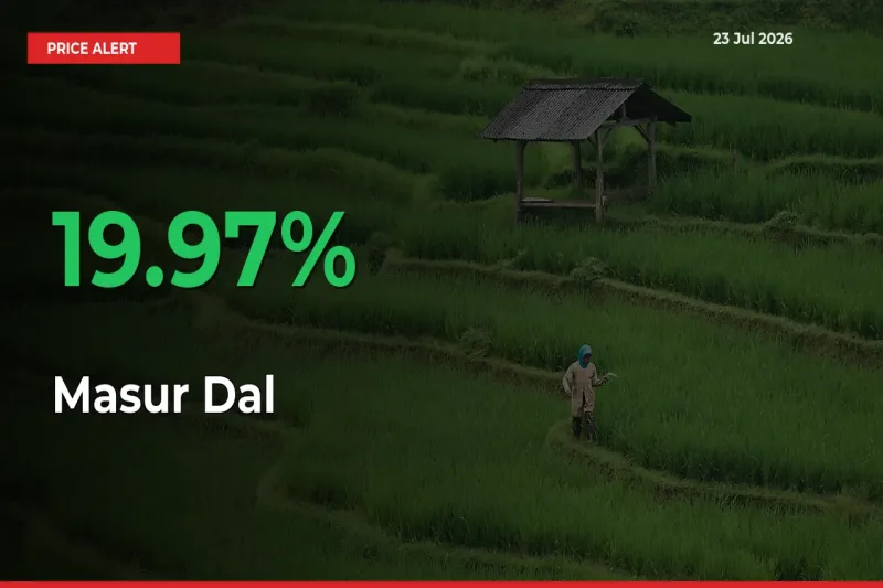 Masur Dal Rises 19.97% at Mandis