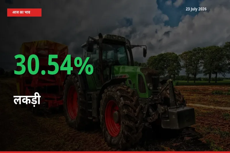 लकड़ी 30.54% उछला, मंडी