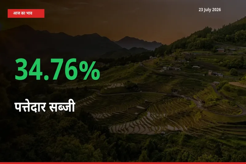 23 July अपडेट: पत्तेदार सब्जी के दाम मंडी में 34.76% उछले