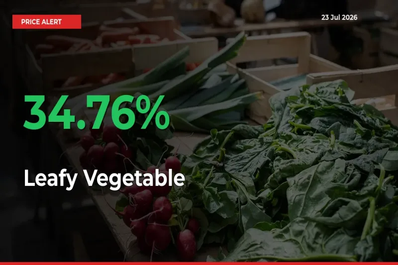 34.76% Spike in Leafy Vegetable Prices – Mandi Sees Sudden Rally