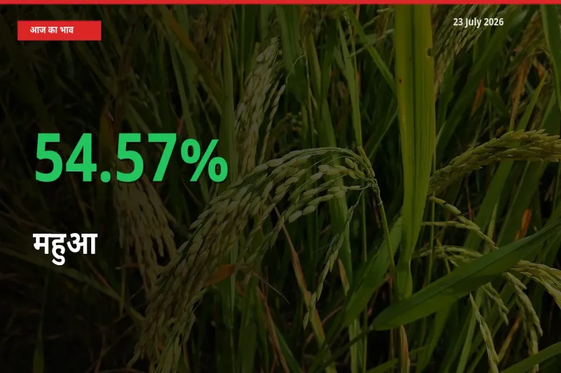स्थानीय मंडी में महुआ के दाम अचानक 54.57% उछले, किसान सतर्क