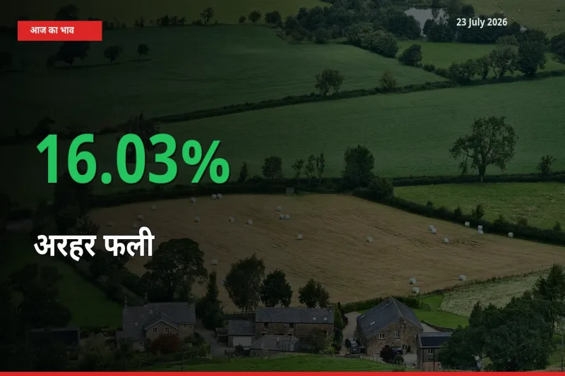 अचानक तेजी! मंडी में अरहर फली के दाम 16.03% चढ़े