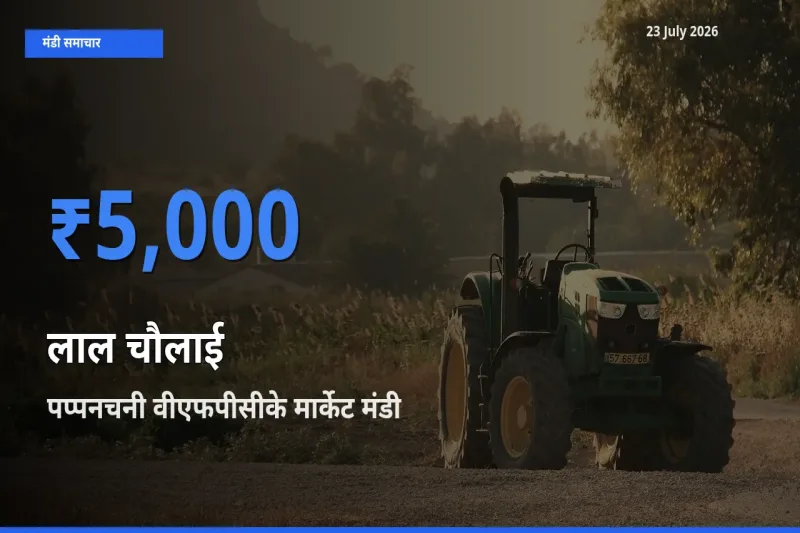 आज का मंडी भाव: लाल चौलाई के सबसे ज़्यादा दाम पप्पनचनी वीएफपीसीके मार्केट में