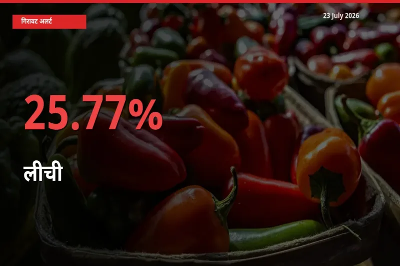 23 July अपडेट: लीची के दाम मंडी में 25.77% गिरे