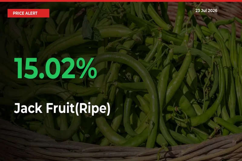 15.02% Spike in Jack Fruit(Ripe) Prices – Mandi Sees Sudden Rally