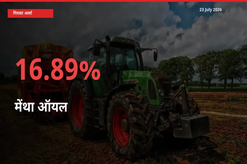 बाज़ार संकेत: मेंथा ऑयल के भाव मंडी में 16.89% नीचे