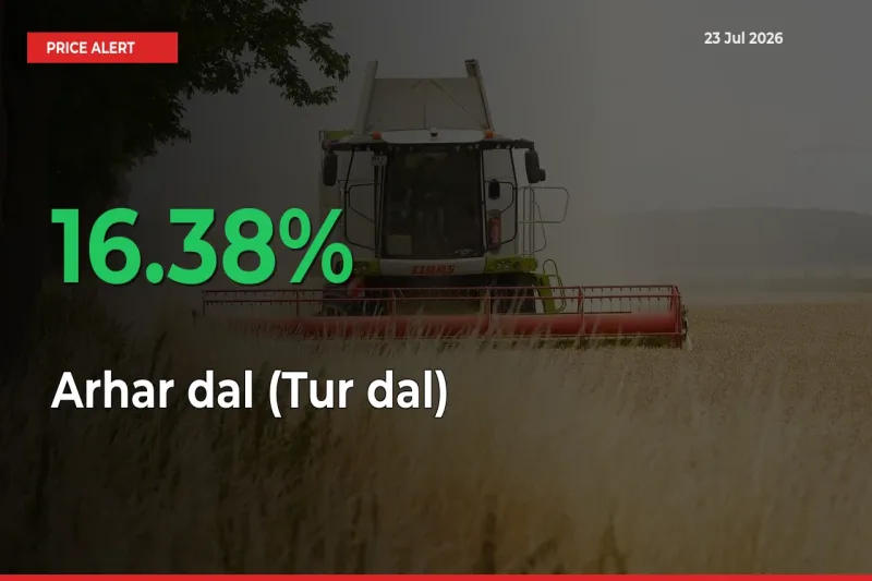 Why Arhar dal (Tur dal) Prices Rose 16.38% in a Day at Mandis