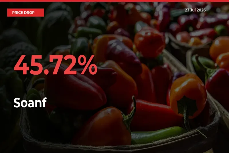 45.72% Drop in Soanf Prices – Mandi Sees Sudden Fall