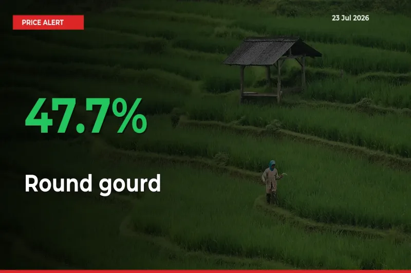 Sharp Jump! Round gourd Prices Climb 47.7% in 24 Hours at Key Mandis