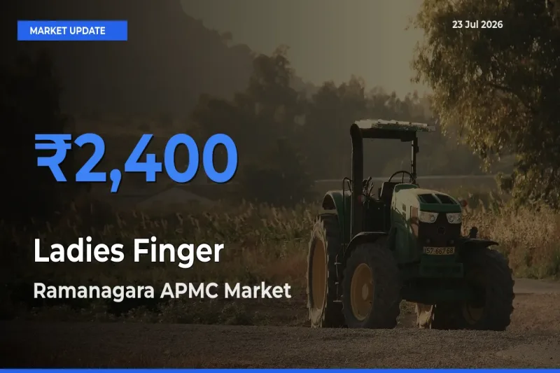 Ramanagara APMC Tops Ladies Finger Mandi Rates Today