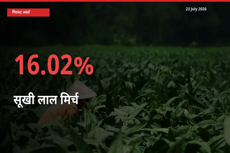 23 July अपडेट: सूखी लाल मिर्च के दाम मंडी में 16.02% गिरे