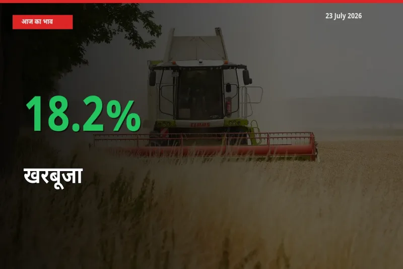 बाज़ार संकेत: खरबूजा के भाव मंडी में 18.2% ऊपर
