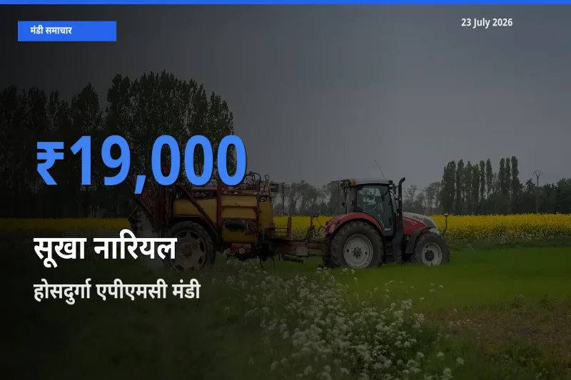 23 July अपडेट: सूखा नारियल के सबसे ऊँचे दाम होसदुर्गा एपीएमसी मंडी में