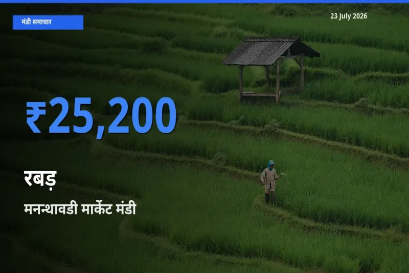 आज रबड़ के सबसे ज़्यादा दाम मनन्थावडी मार्केट मंडी में दर्ज