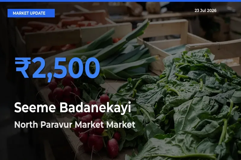 North Paravur Market Tops Seeme Badanekayi Rates – July 23 Market Update