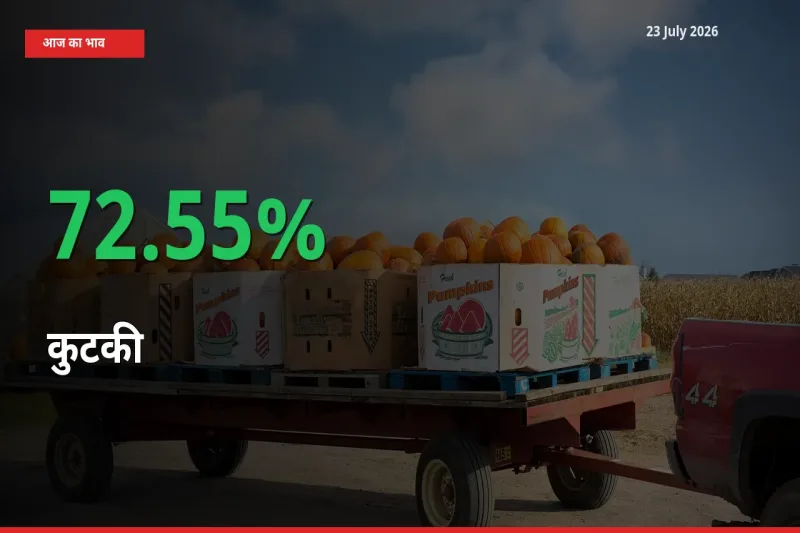 तेज़ तेजी! मंडी में कुटकी के दाम 72.55% चढ़े