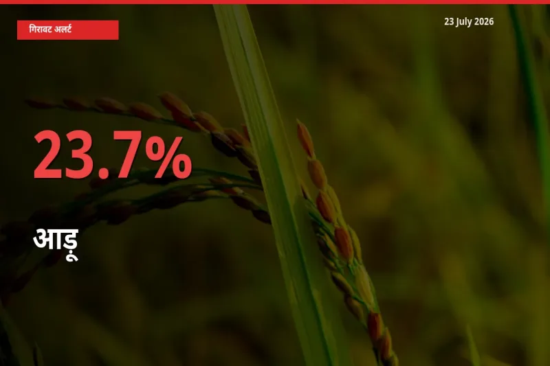 स्थानीय मंडी में आड़ू के दाम अचानक 23.7% गिरे, किसानों की चिंता बढ़ी