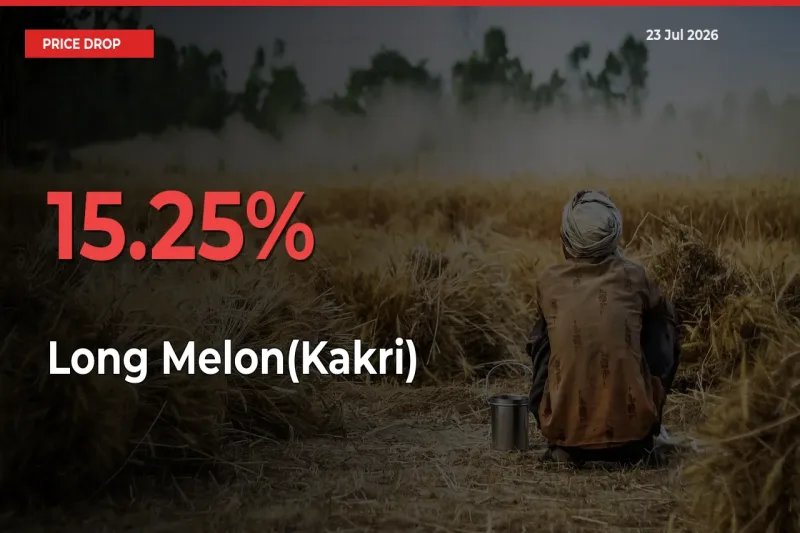Long Melon(Kakri) Prices Drop 15.25% in 24 Hours at Major Mandis