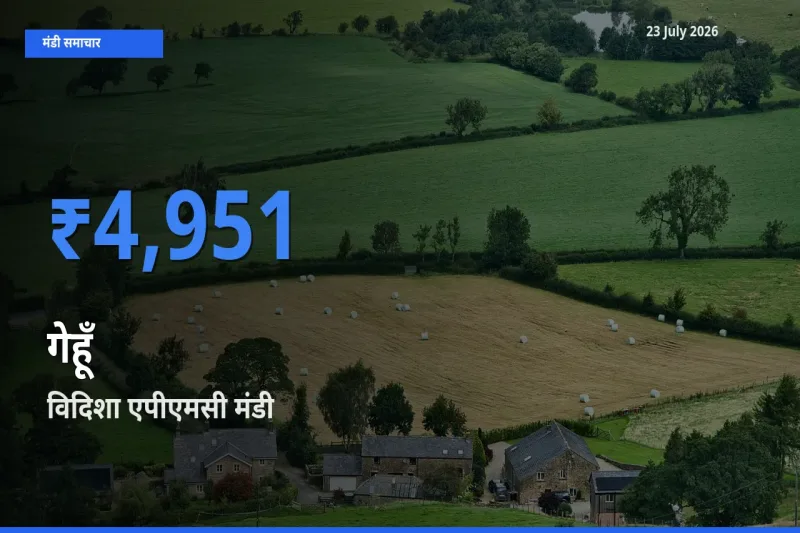 विदिशा एपीएमसी मंडी में आज गेहूँ के सबसे ऊँचे दाम दर्ज