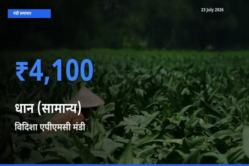 किसानों की पसंद बना विदिशा एपीएमसी, धान (सामान्य) के सबसे अच्छे दाम
