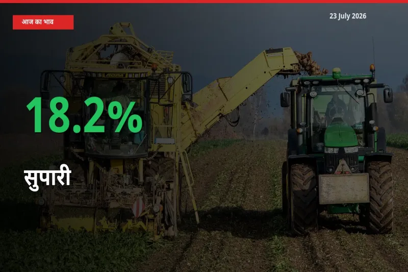 सुपारी 18.2% उछला, मंडी