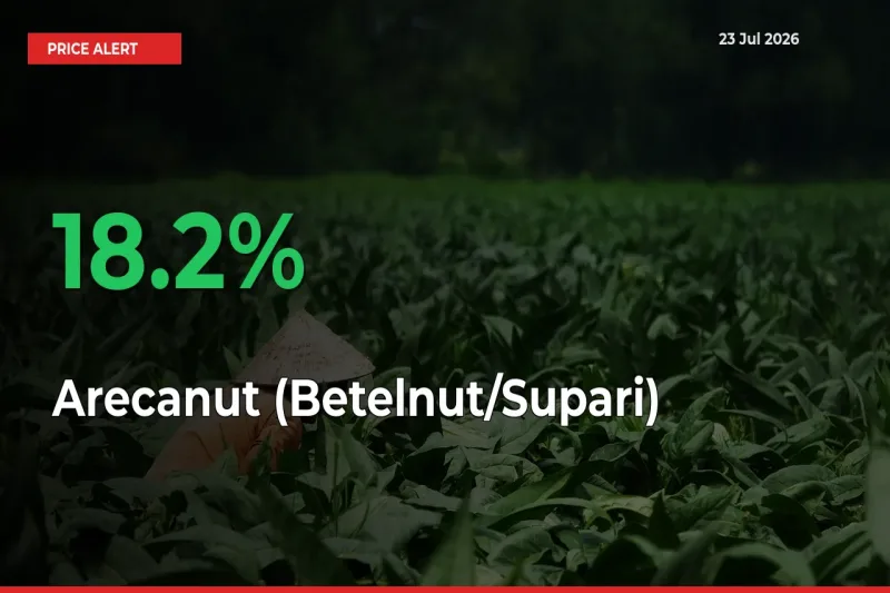 Why Arecanut (Betelnut/Supari) Prices Rose 18.2% in a Day at Mandis