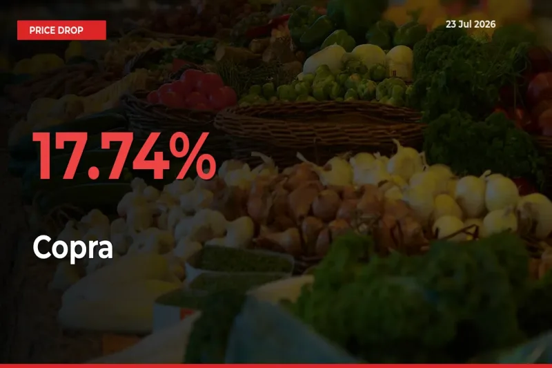 Copra Falls 17.74% at Mandis