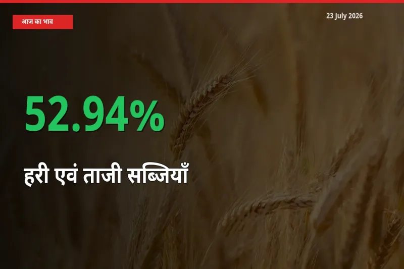 हरी एवं ताजी सब्जियाँ के दाम प्रमुख मंडी में 52.94% बढ़े, 24 घंटे में बड़ा बदलाव
