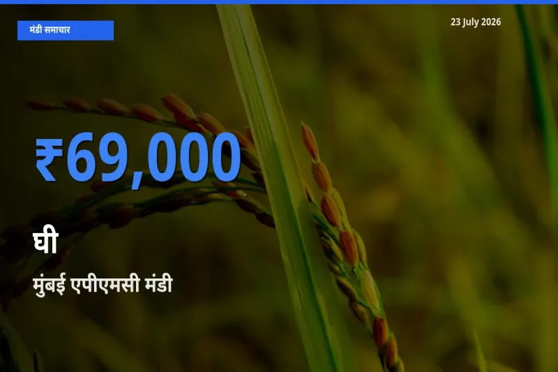 टॉप मंडी बना मुंबई एपीएमसी! घी के सबसे ऊँचे दाम यहीं दर्ज