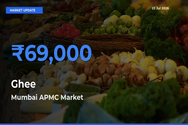 Farmers Prefer Mumbai APMC as Ghee Hits Highest Rate