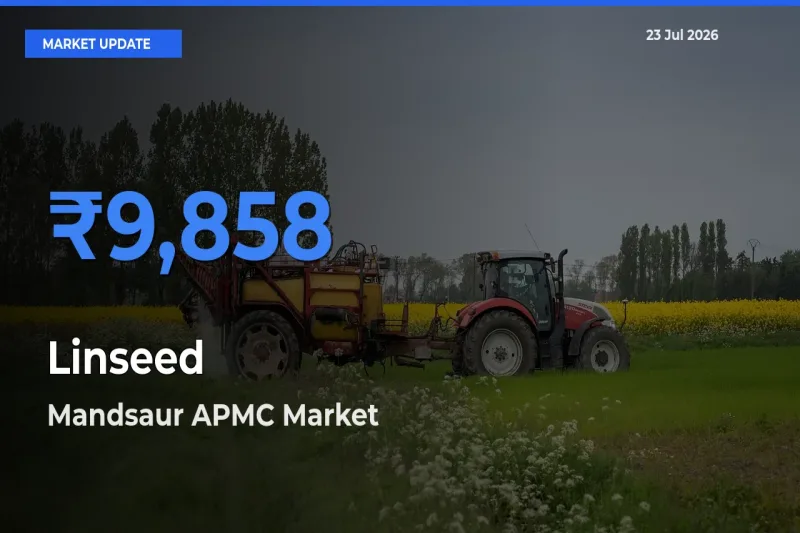 Mandsaur APMC Offers ₹9,858 – Highest Linseed Rate Today
