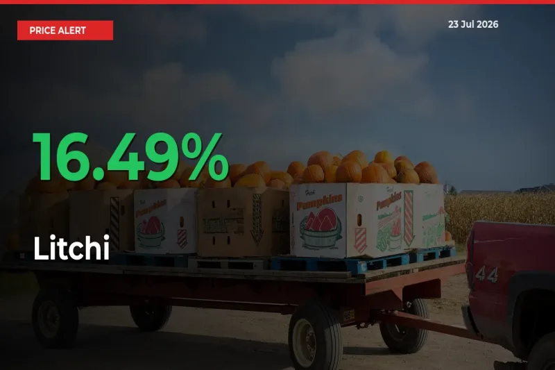 Litchi Prices Rise 16.49% in a Day at Major Mandis