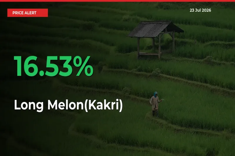 Sharp Jump! Long Melon(Kakri) Prices Climb 16.53% in 24 Hours at Key Mandis