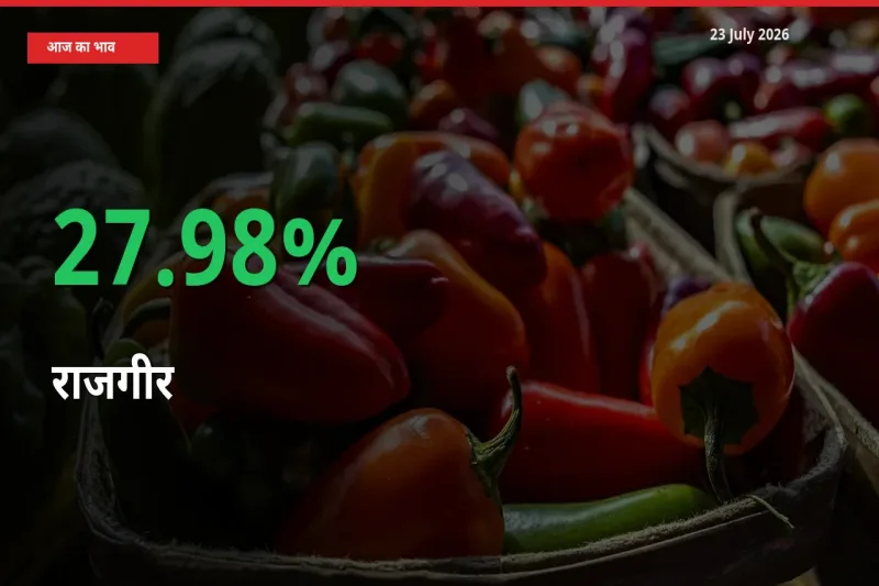स्थानीय मंडी में राजगीर के दाम अचानक 27.98% उछले, किसान सतर्क