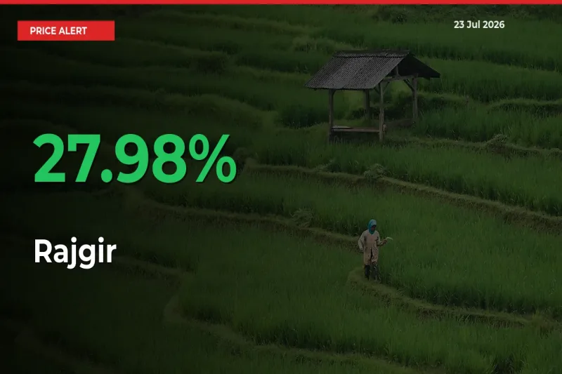 Big Rally! Rajgir Climbs 27.98% in 24 Hours at Top Mandis
