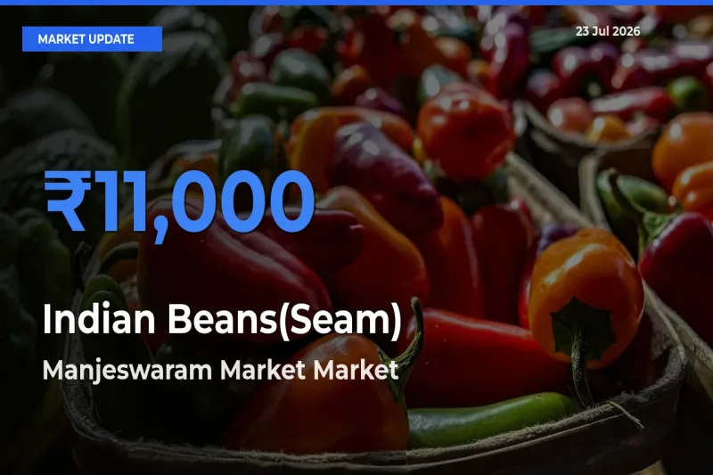 Farmers Prefer Manjeswaram Market as Indian Beans(Seam) Hits Highest Rate