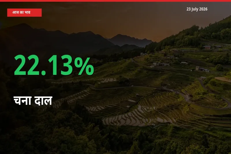 बाज़ार संकेत: चना दाल के भाव मंडी में 22.13% ऊपर