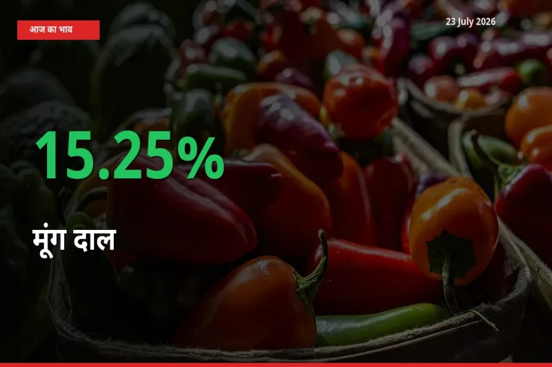 बाज़ार संकेत: मूंग दाल के भाव मंडी में 15.25% ऊपर