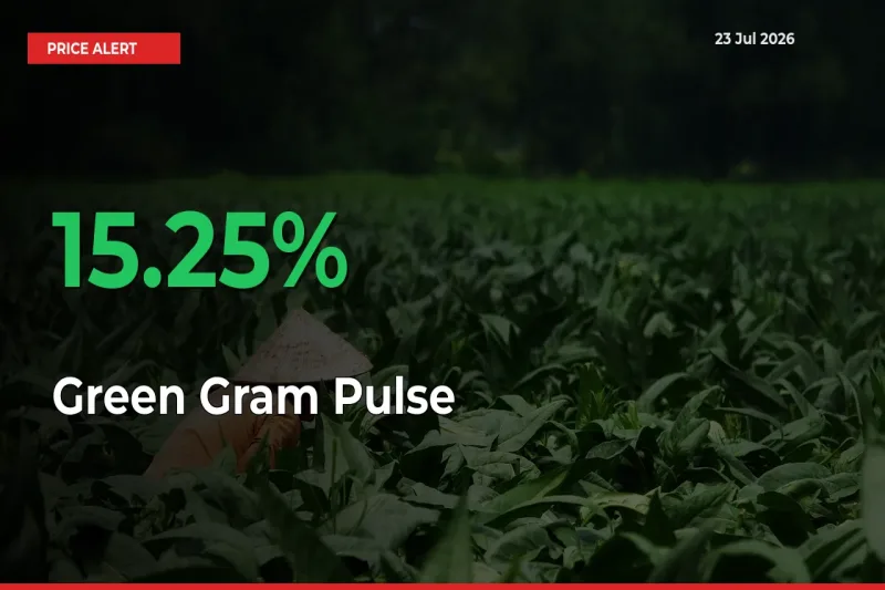 Big Rally! Green Gram Pulse Climbs 15.25% in 24 Hours at Top Mandis