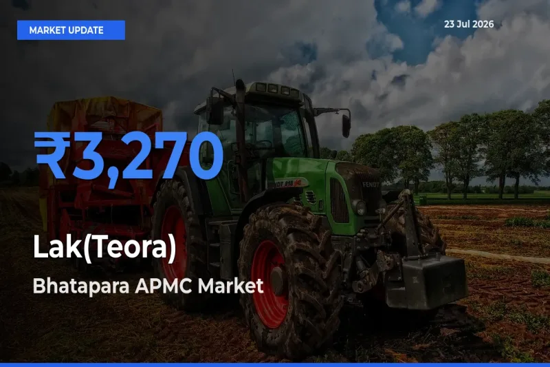Farmers Prefer Bhatapara APMC as Lak(Teora) Hits Highest Rate
