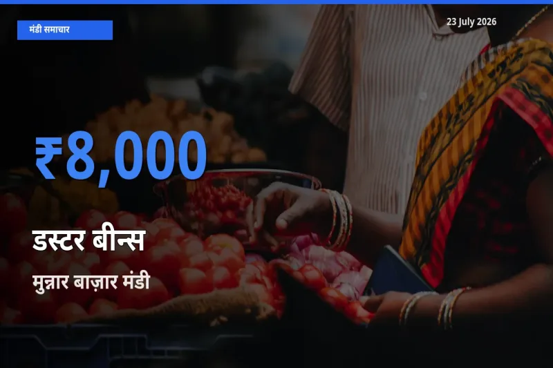 आज का मंडी भाव: डस्टर बीन्स के सबसे ज़्यादा दाम मुन्नार बाज़ार में