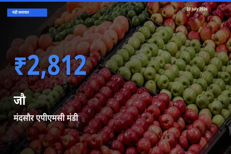 किसानों की पसंद बना मंदसौर एपीएमसी, जौ के सबसे अच्छे दाम