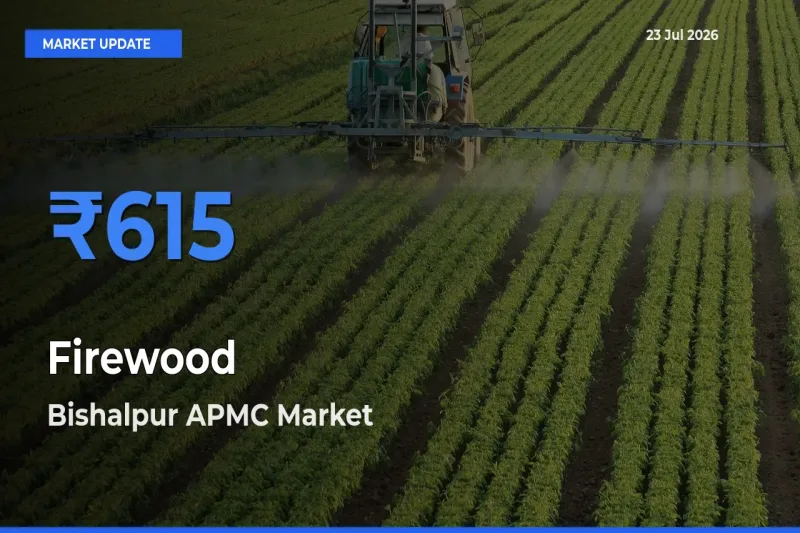 Bishalpur APMC Records Highest ₹615 Rate for Firewood